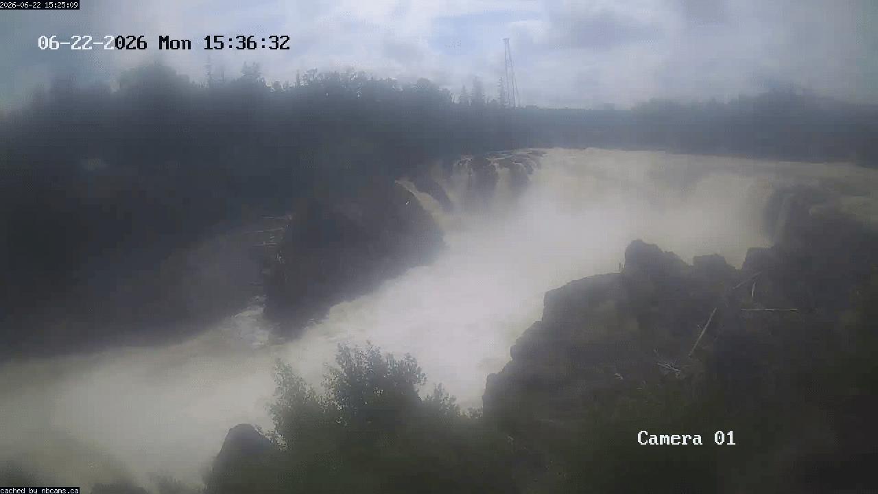 Web Cam image of Grand Falls Gorge