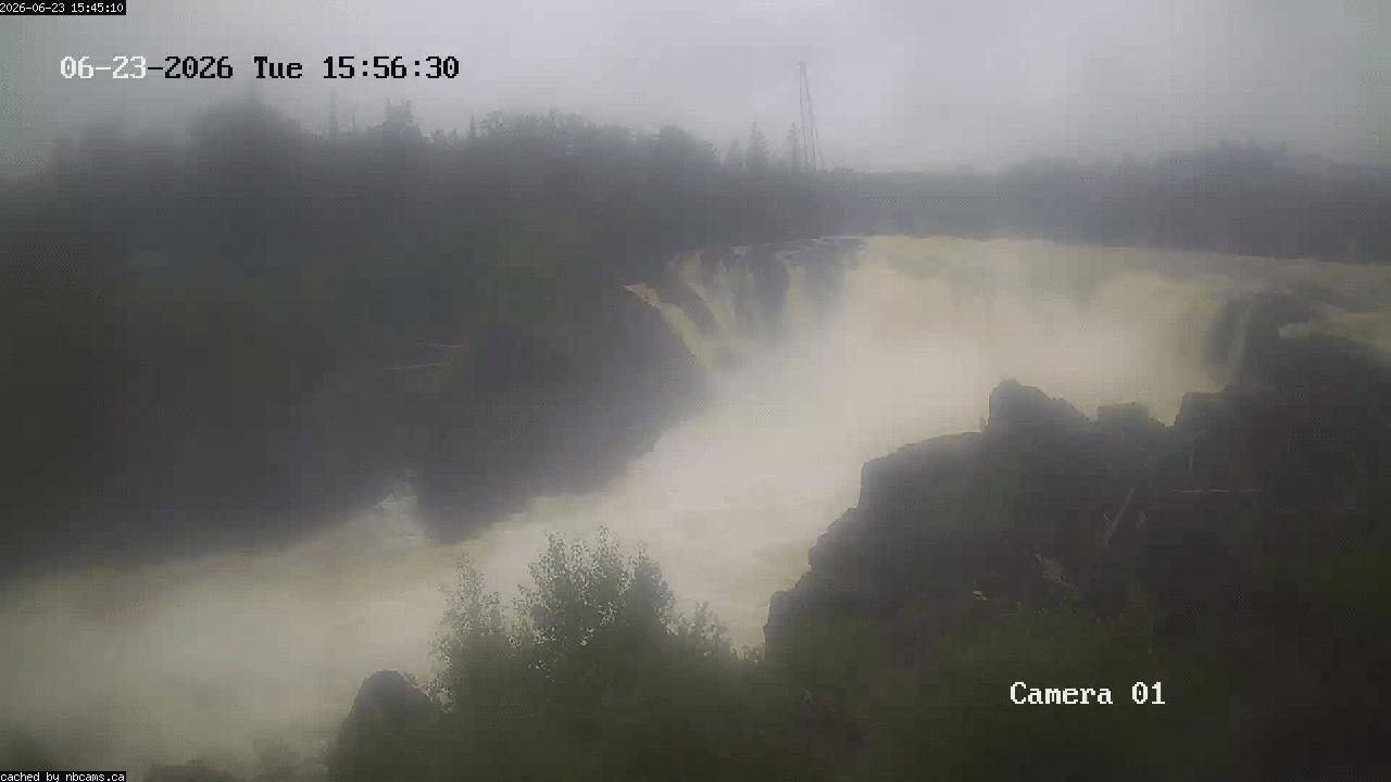 Web Cam image of Grand Falls Gorge
