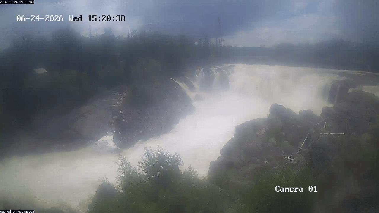 Web Cam image of Grand Falls Gorge