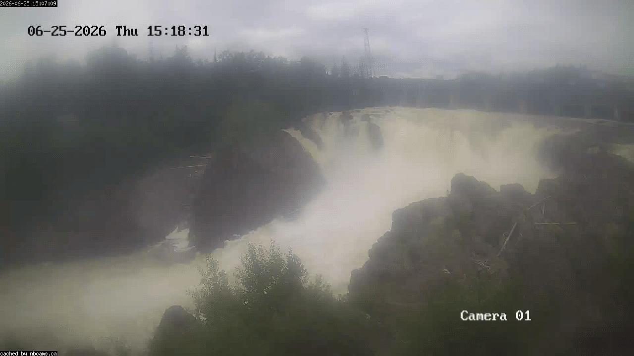 Web Cam image of Grand Falls Gorge