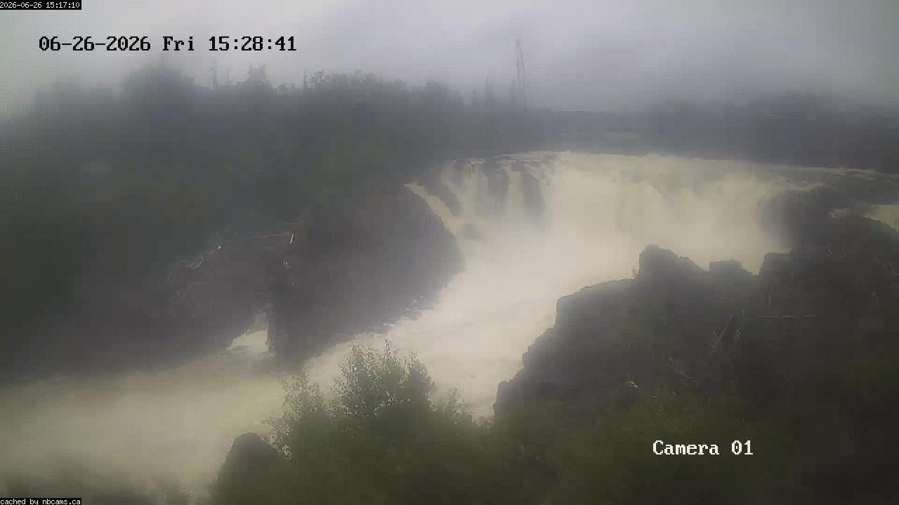 Web Cam image of Grand Falls Gorge