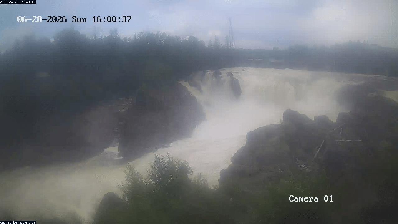 Web Cam image of Grand Falls Gorge