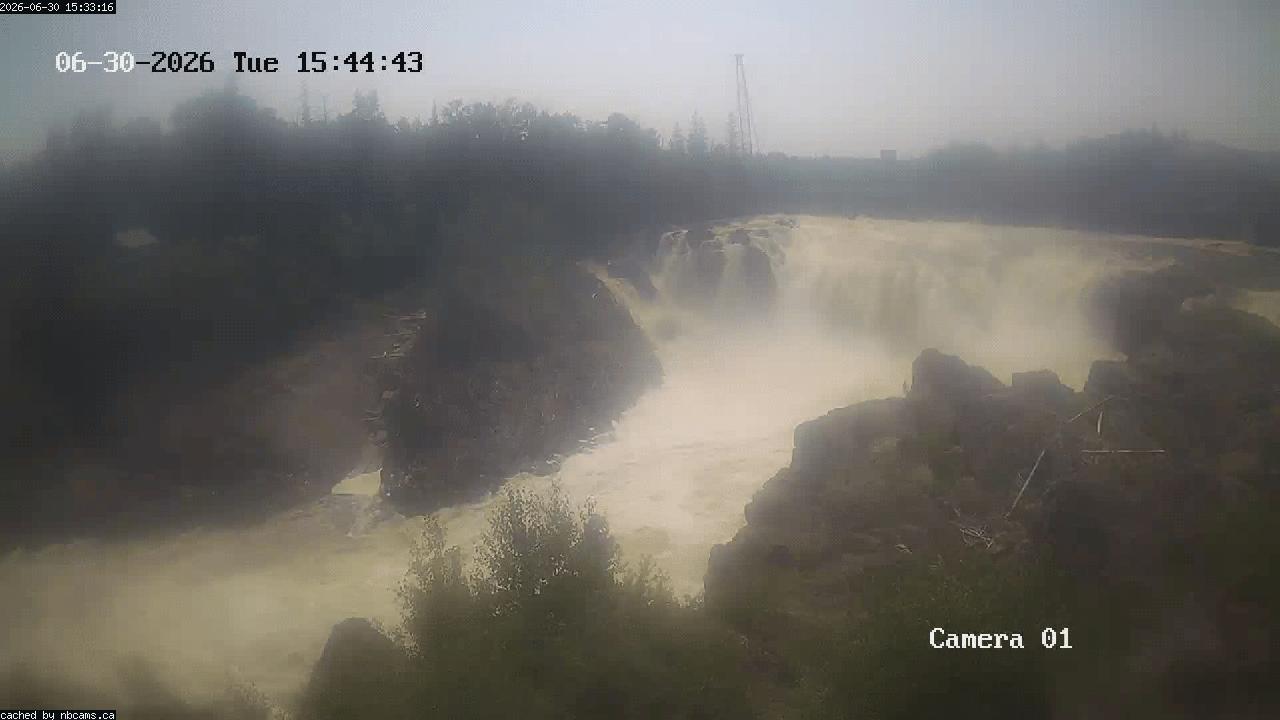 Web Cam image of Grand Falls Gorge