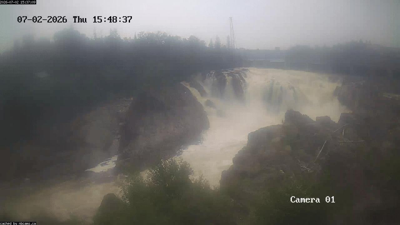 Web Cam image of Grand Falls Gorge