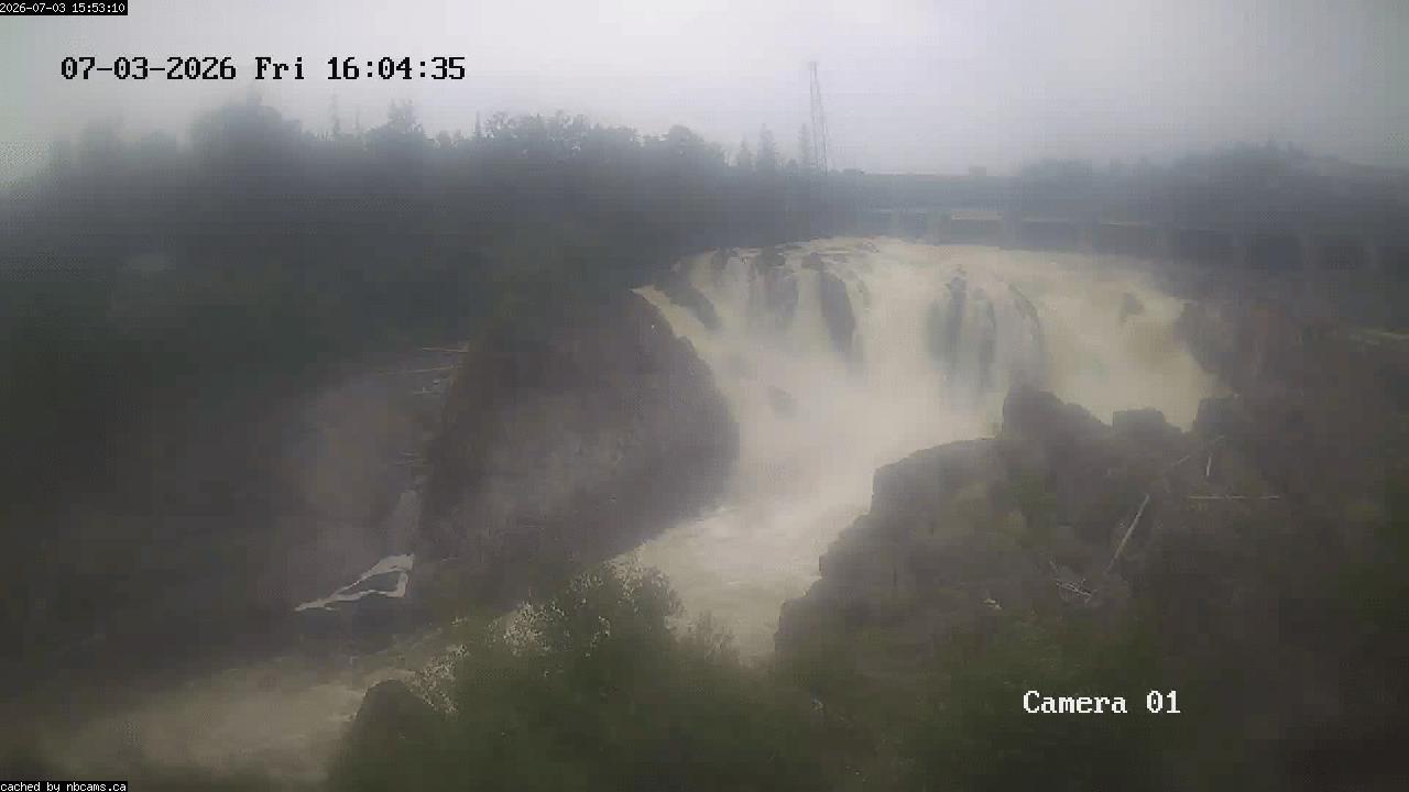 Web Cam image of Grand Falls Gorge