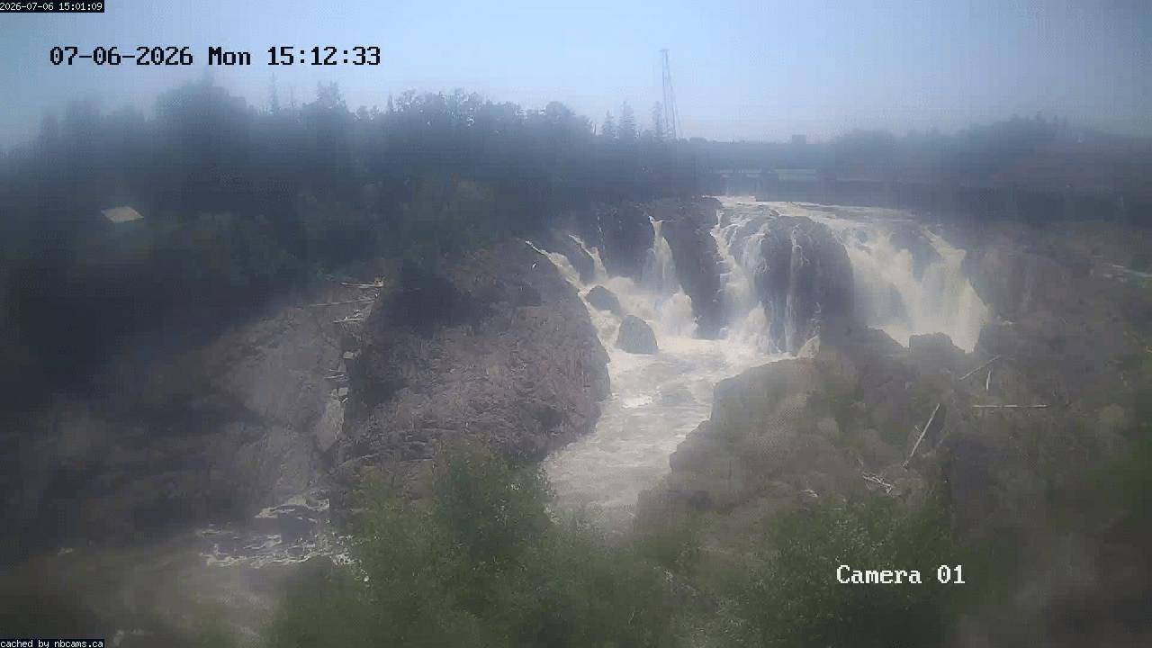 Web Cam image of Grand Falls Gorge
