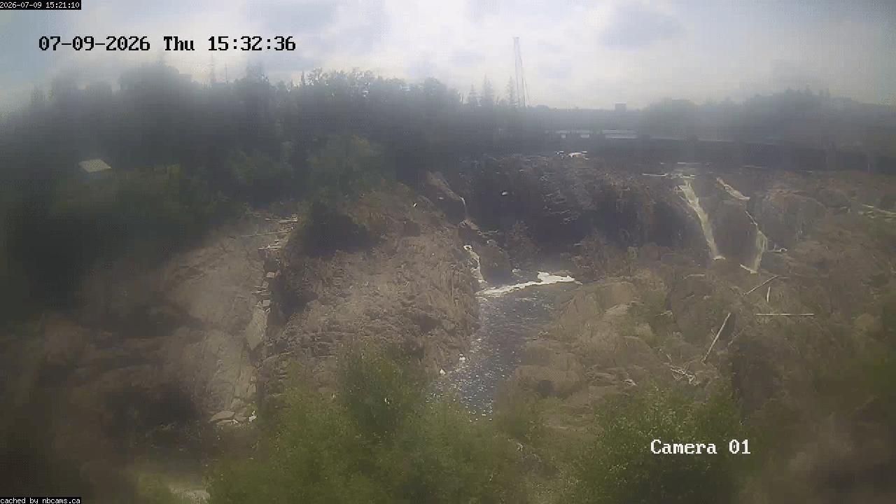 Web Cam image of Grand Falls Gorge