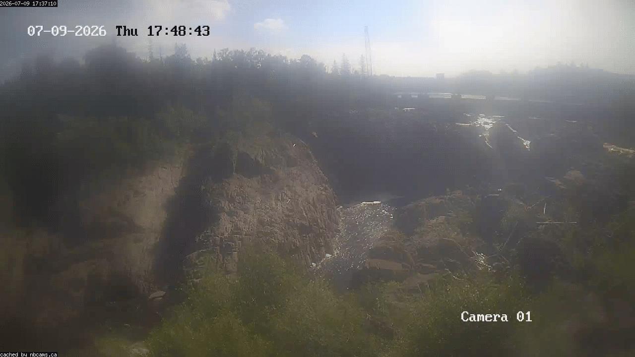 Web Cam image of Grand Falls Gorge