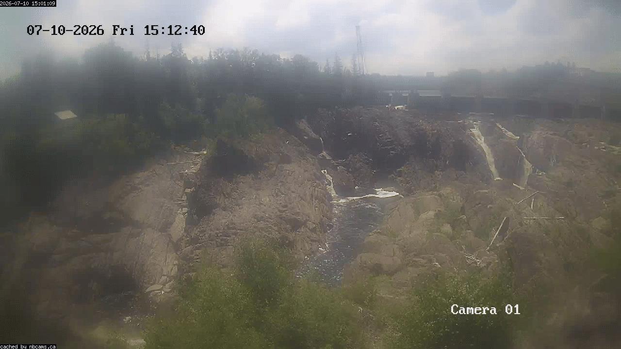 Web Cam image of Grand Falls Gorge