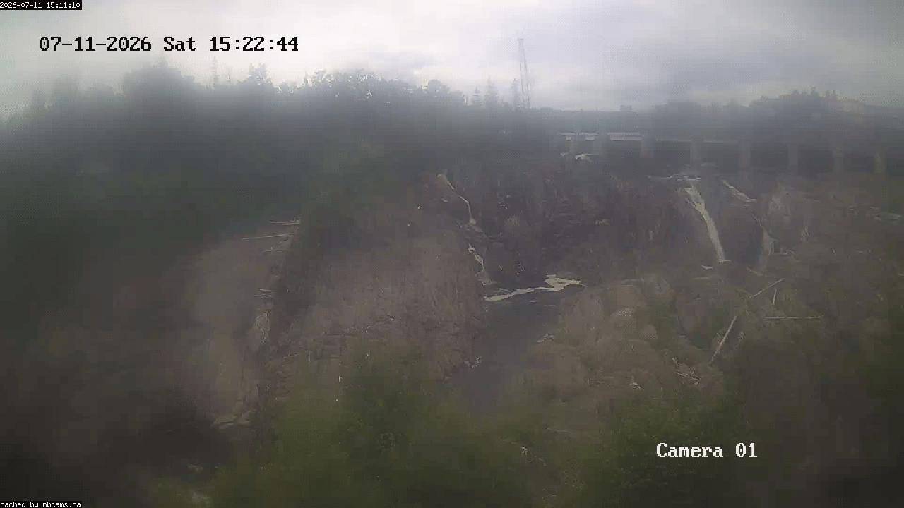 Web Cam image of Grand Falls Gorge