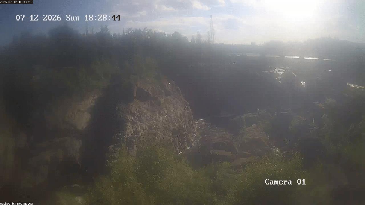 Web Cam image of Grand Falls Gorge