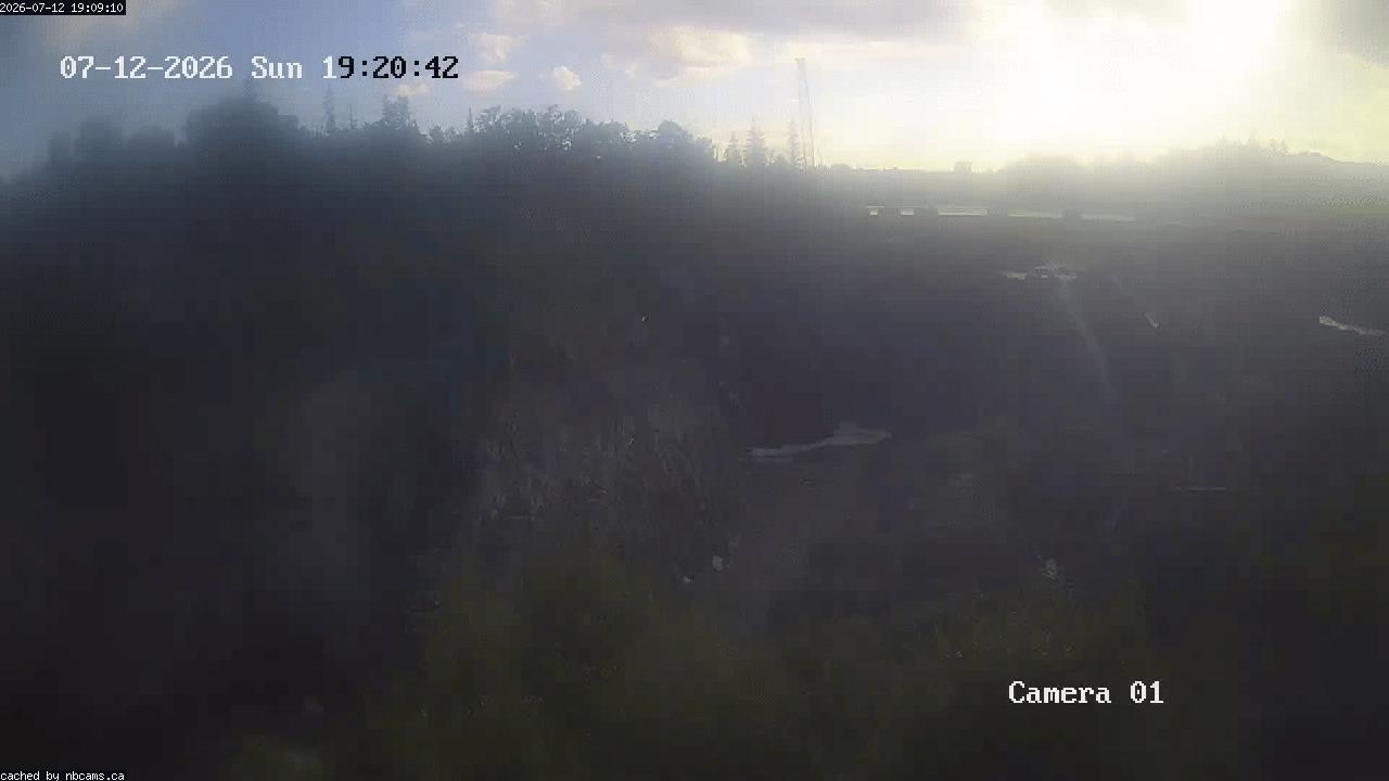 Web Cam image of Grand Falls Gorge