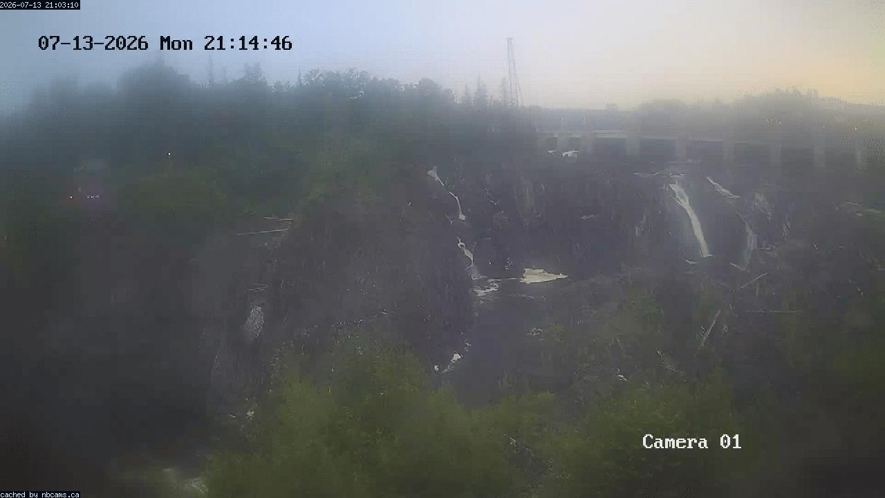 Web Cam image of Grand Falls Gorge
