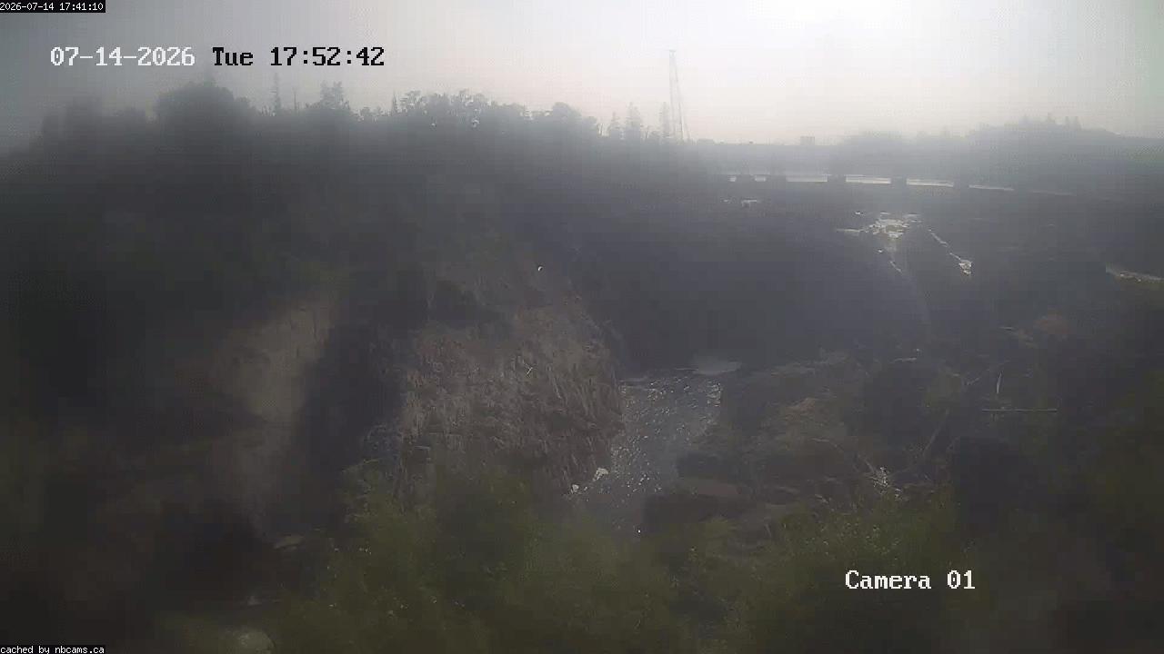 Web Cam image of Grand Falls Gorge