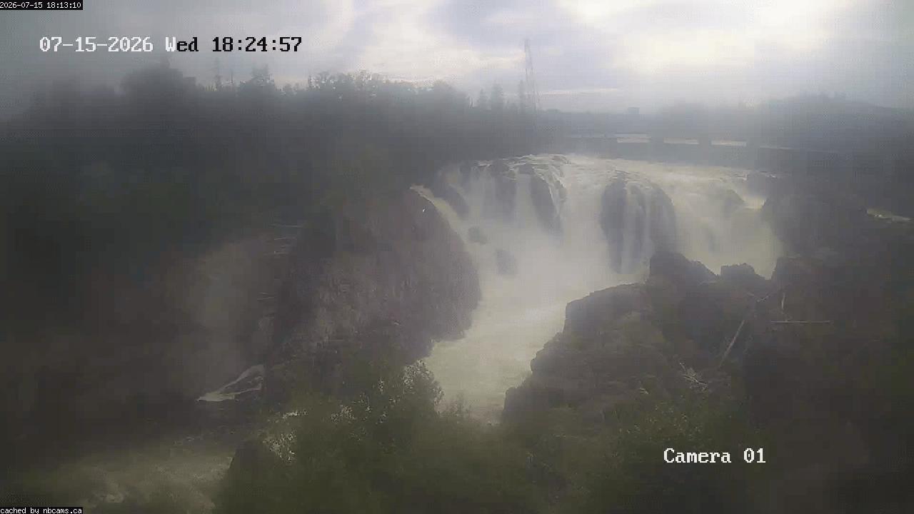 Web Cam image of Grand Falls Gorge