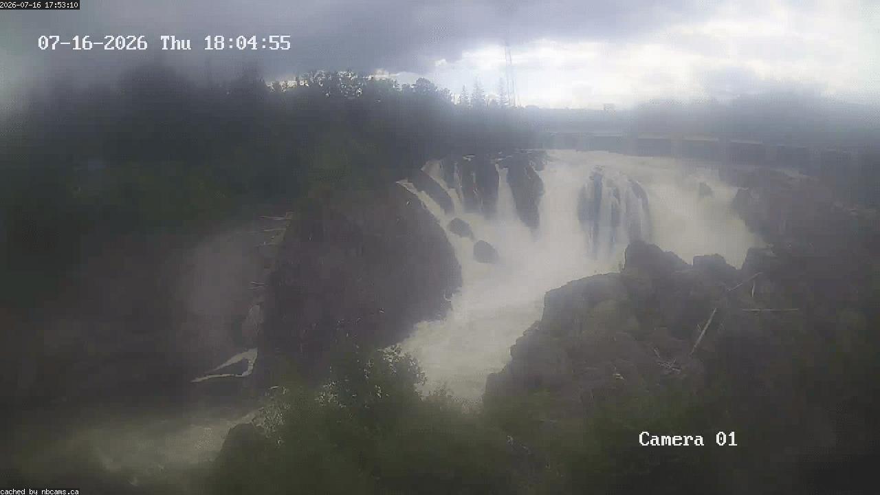 Web Cam image of Grand Falls Gorge