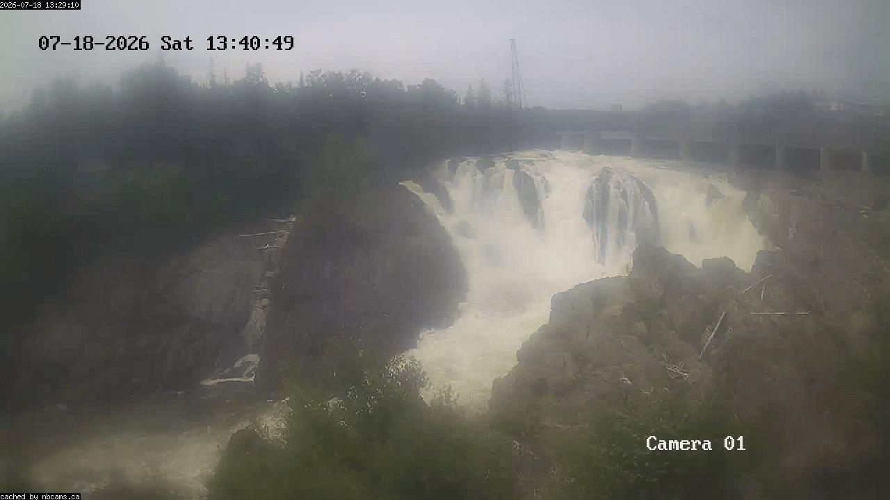 Web Cam image of Grand Falls Gorge