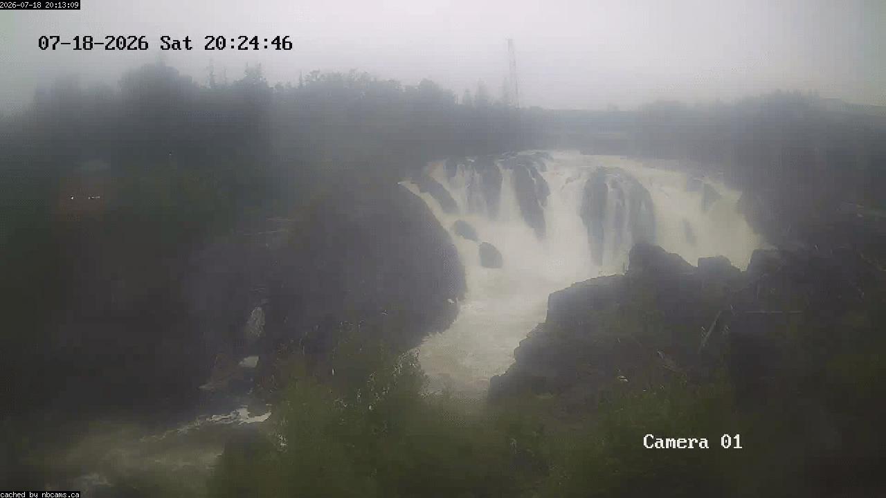Web Cam image of Grand Falls Gorge