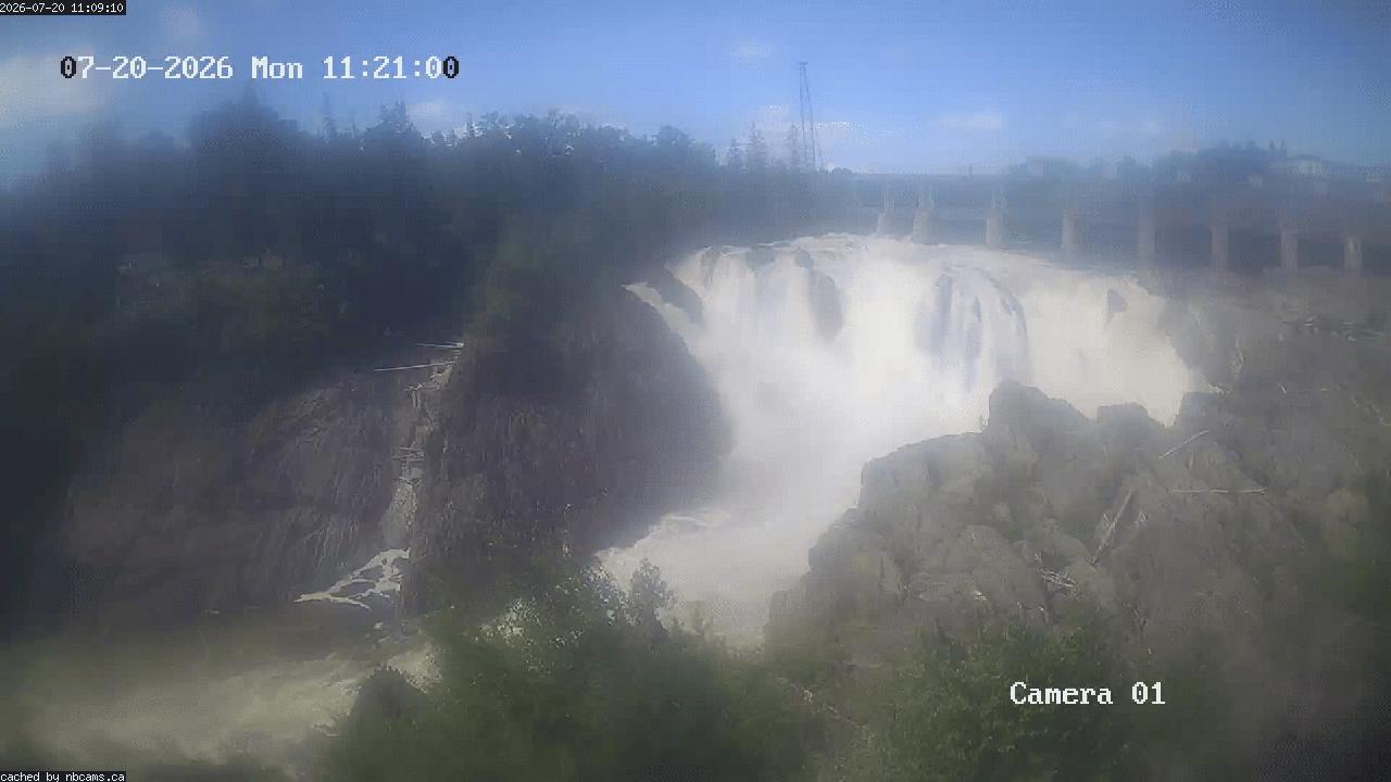 Web Cam image of Grand Falls Gorge