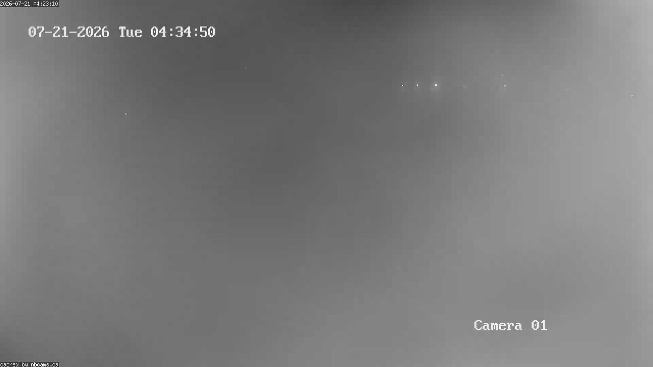 Web Cam image of Grand Falls Gorge