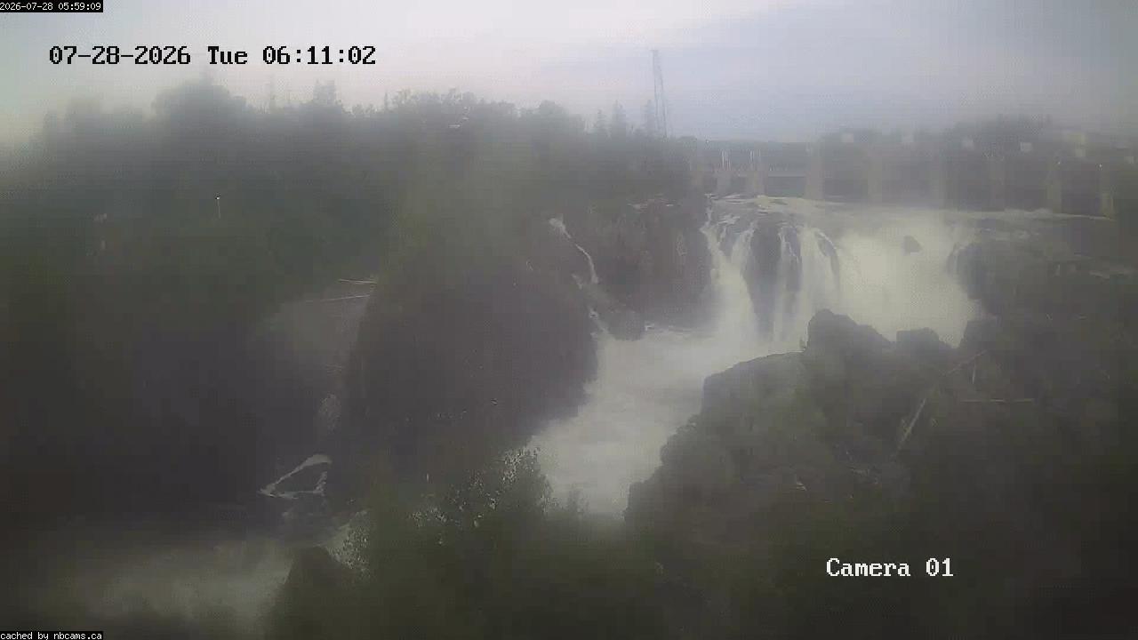 Web Cam image of Grand Falls Gorge