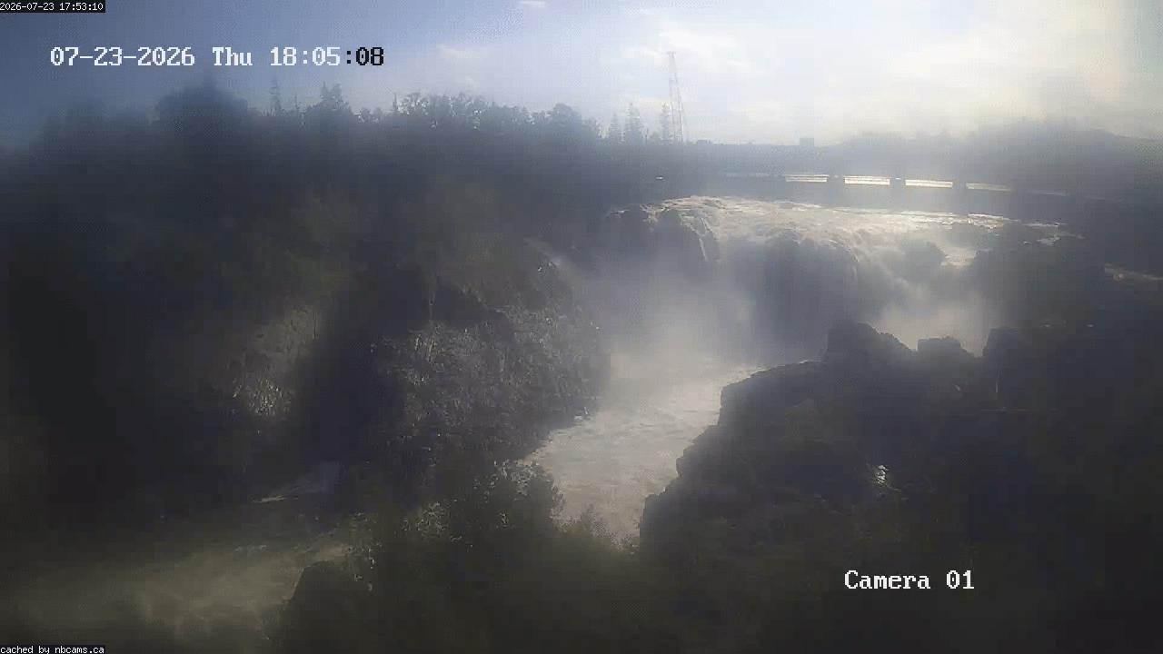 Web Cam image of Grand Falls Gorge