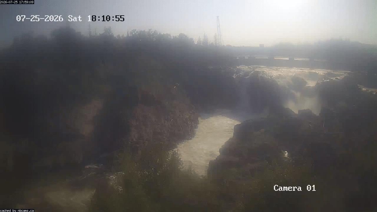 Web Cam image of Grand Falls Gorge