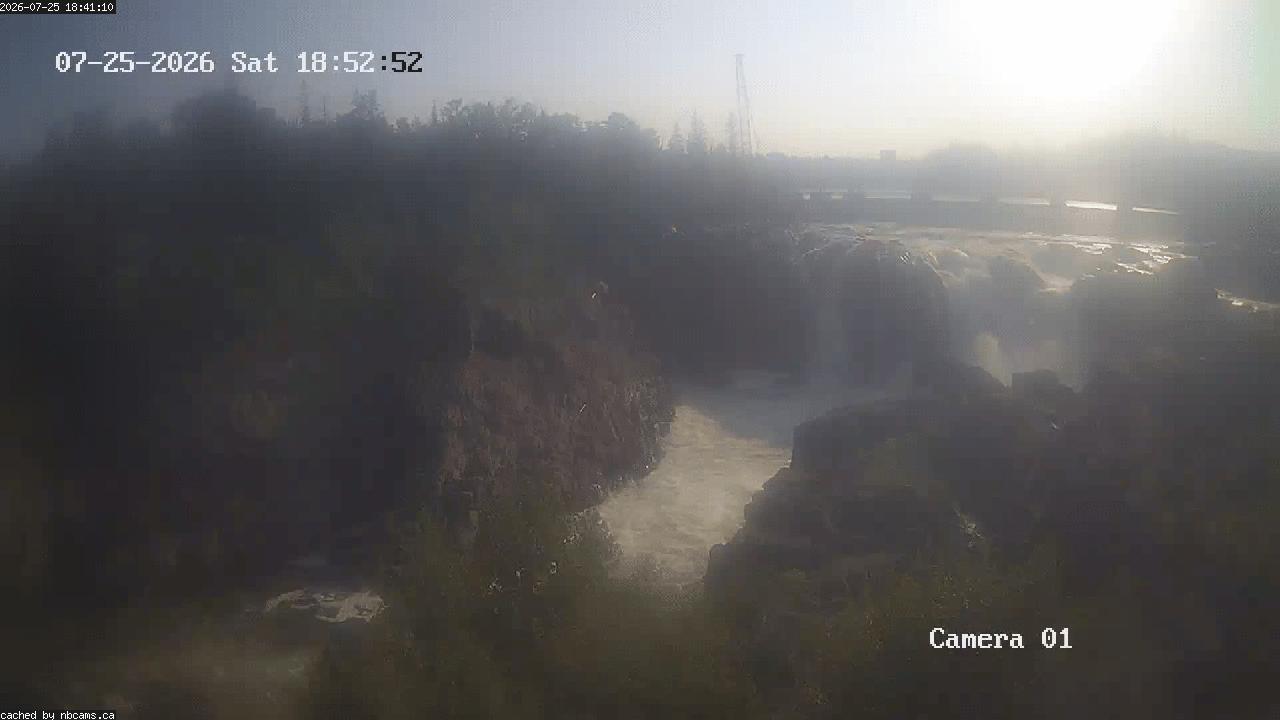 Web Cam image of Grand Falls Gorge