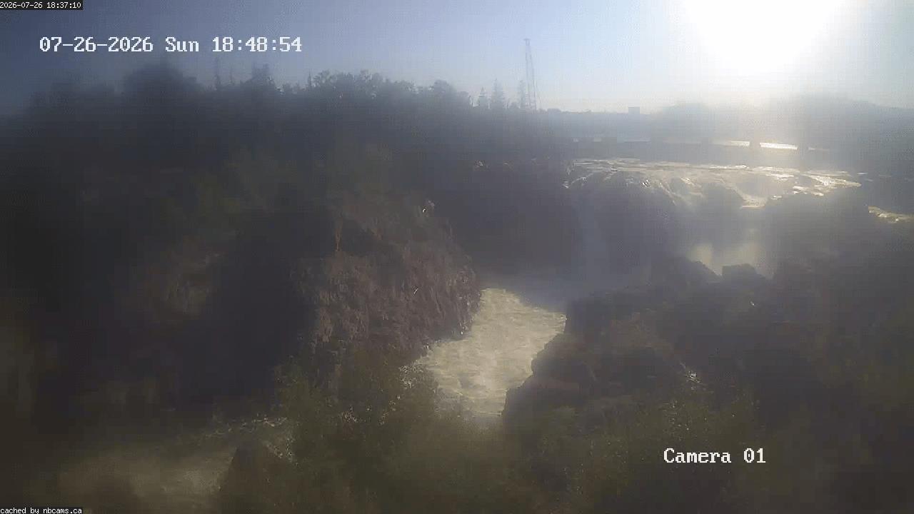 Web Cam image of Grand Falls Gorge