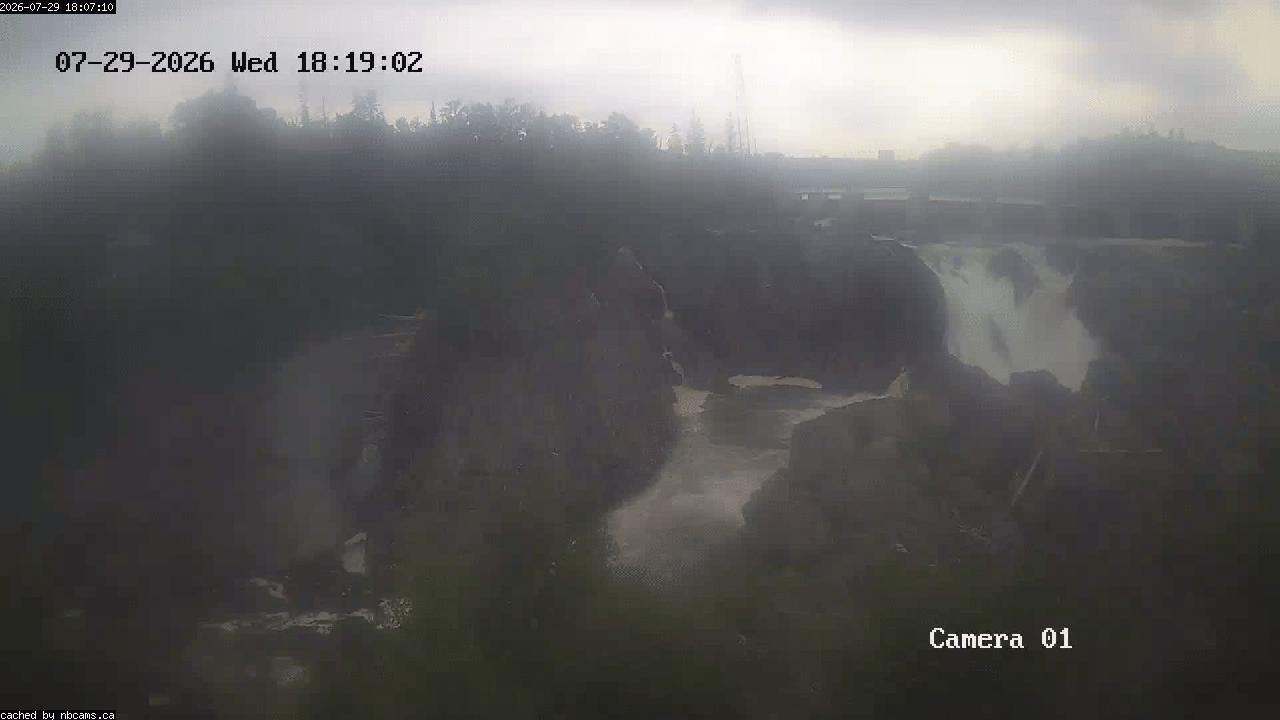 Web Cam image of Grand Falls Gorge
