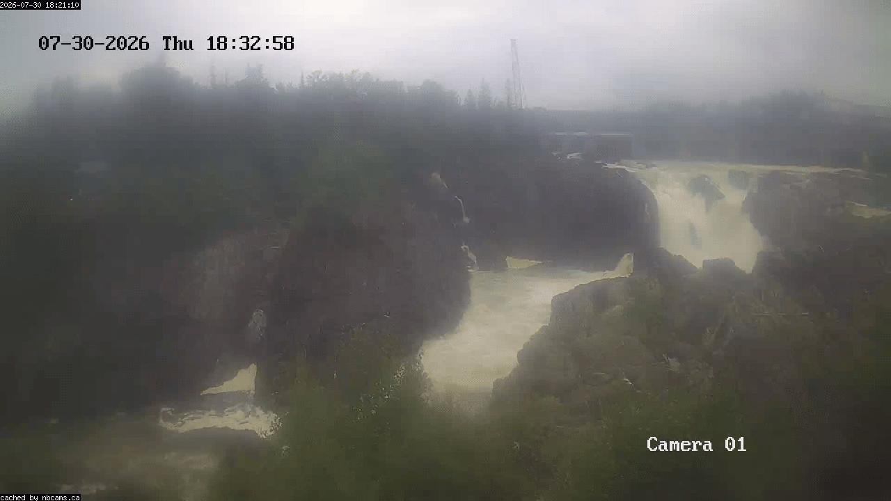 Web Cam image of Grand Falls Gorge