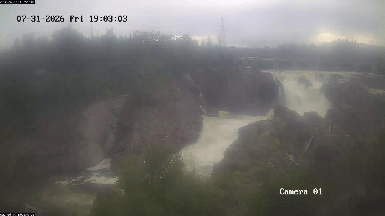 Web Cam image of Grand Falls Gorge