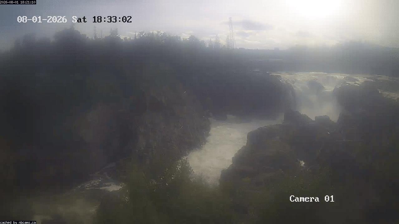 Web Cam image of Grand Falls Gorge