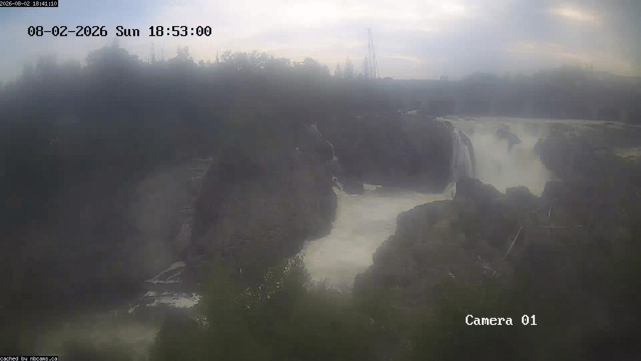 Web Cam image of Grand Falls Gorge