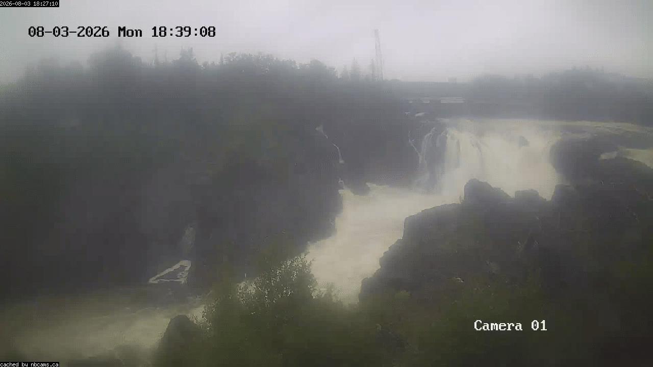 Web Cam image of Grand Falls Gorge