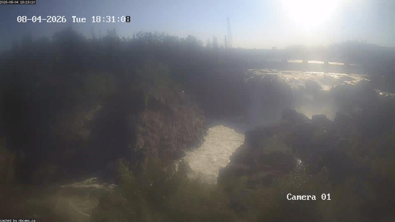 Web Cam image of Grand Falls Gorge