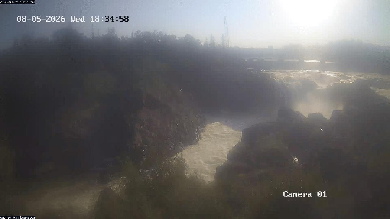 Web Cam image of Grand Falls Gorge