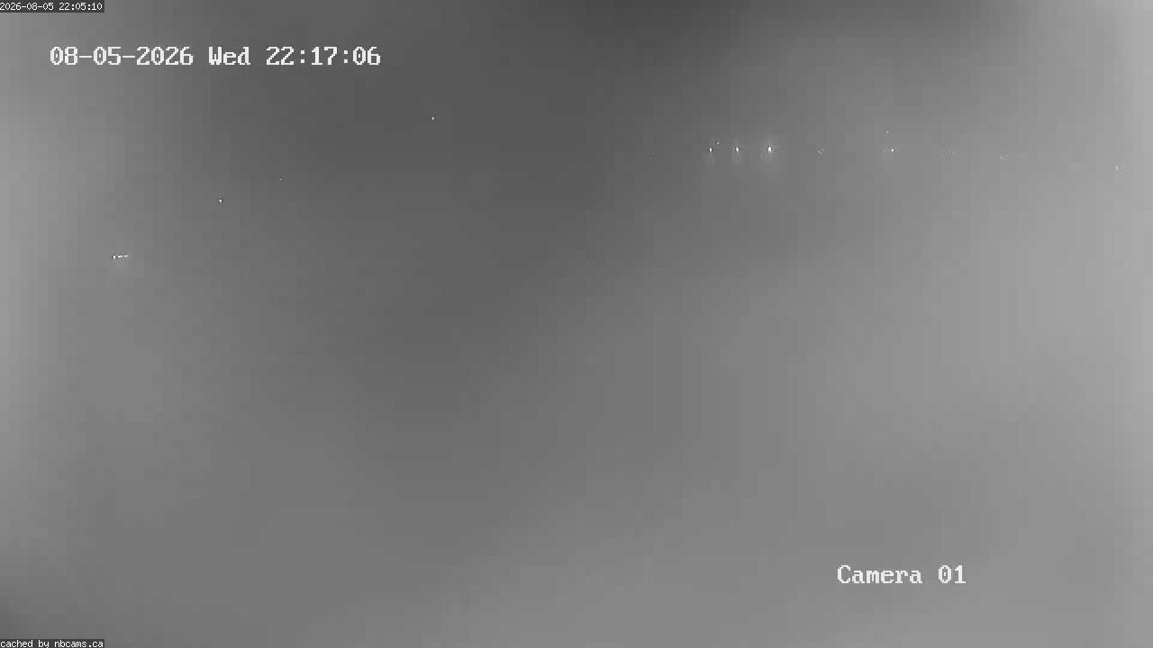 Web Cam image of Grand Falls Gorge