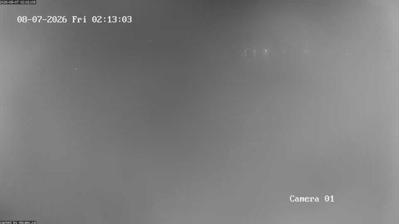 Web Cam image of Grand Falls Gorge