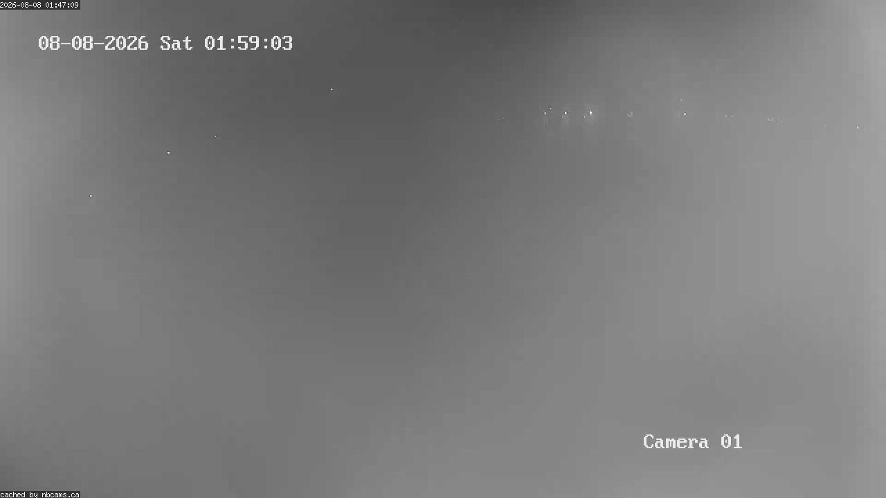 Web Cam image of Grand Falls Gorge
