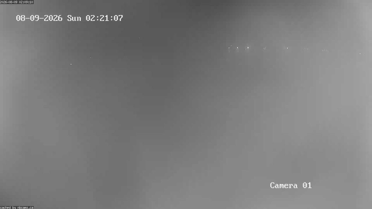 Web Cam image of Grand Falls Gorge
