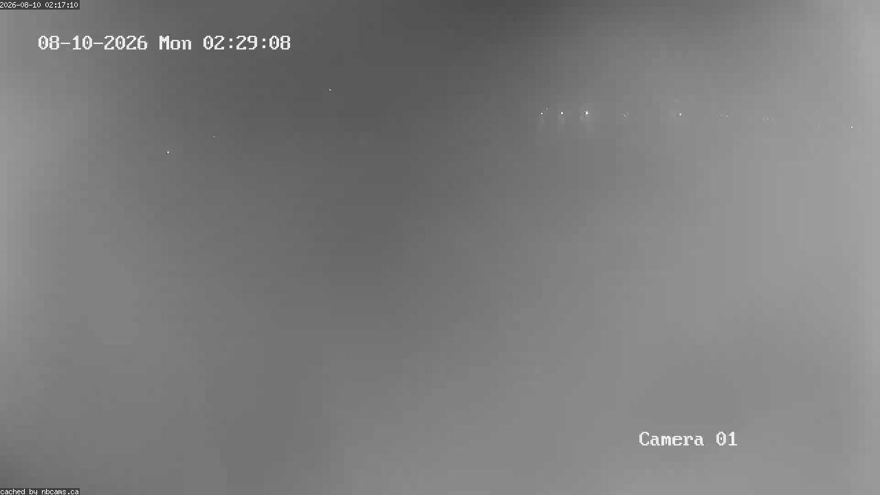 Web Cam image of Grand Falls Gorge