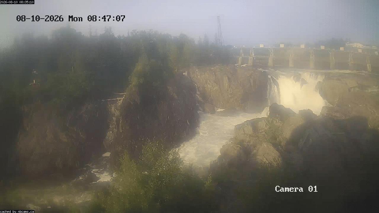 Web Cam image of Grand Falls Gorge