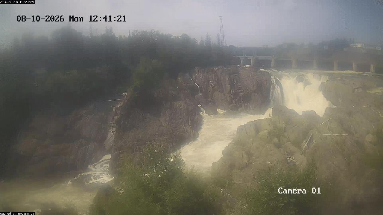 Web Cam image of Grand Falls Gorge