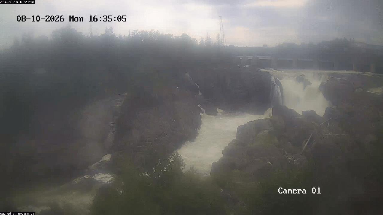 Web Cam image of Grand Falls Gorge