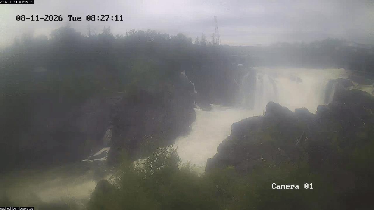 Web Cam image of Grand Falls Gorge