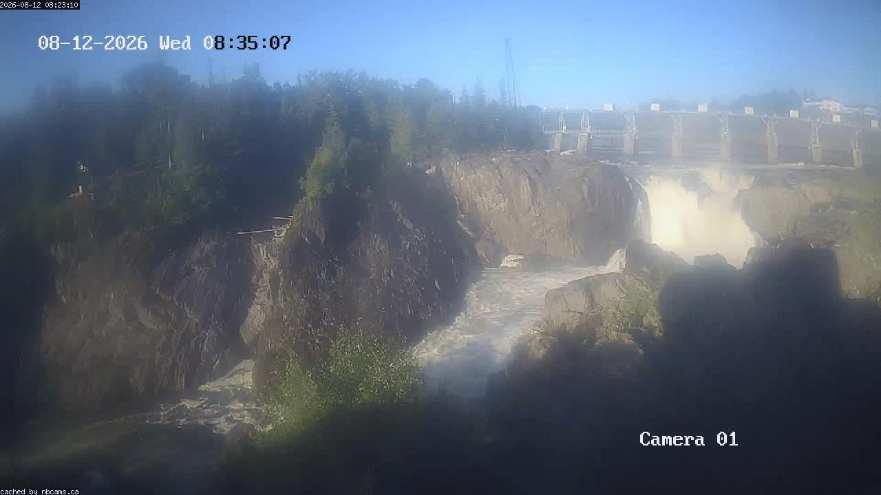 Web Cam image of Grand Falls Gorge