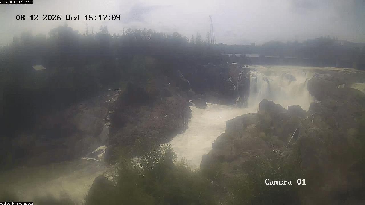 Web Cam image of Grand Falls Gorge