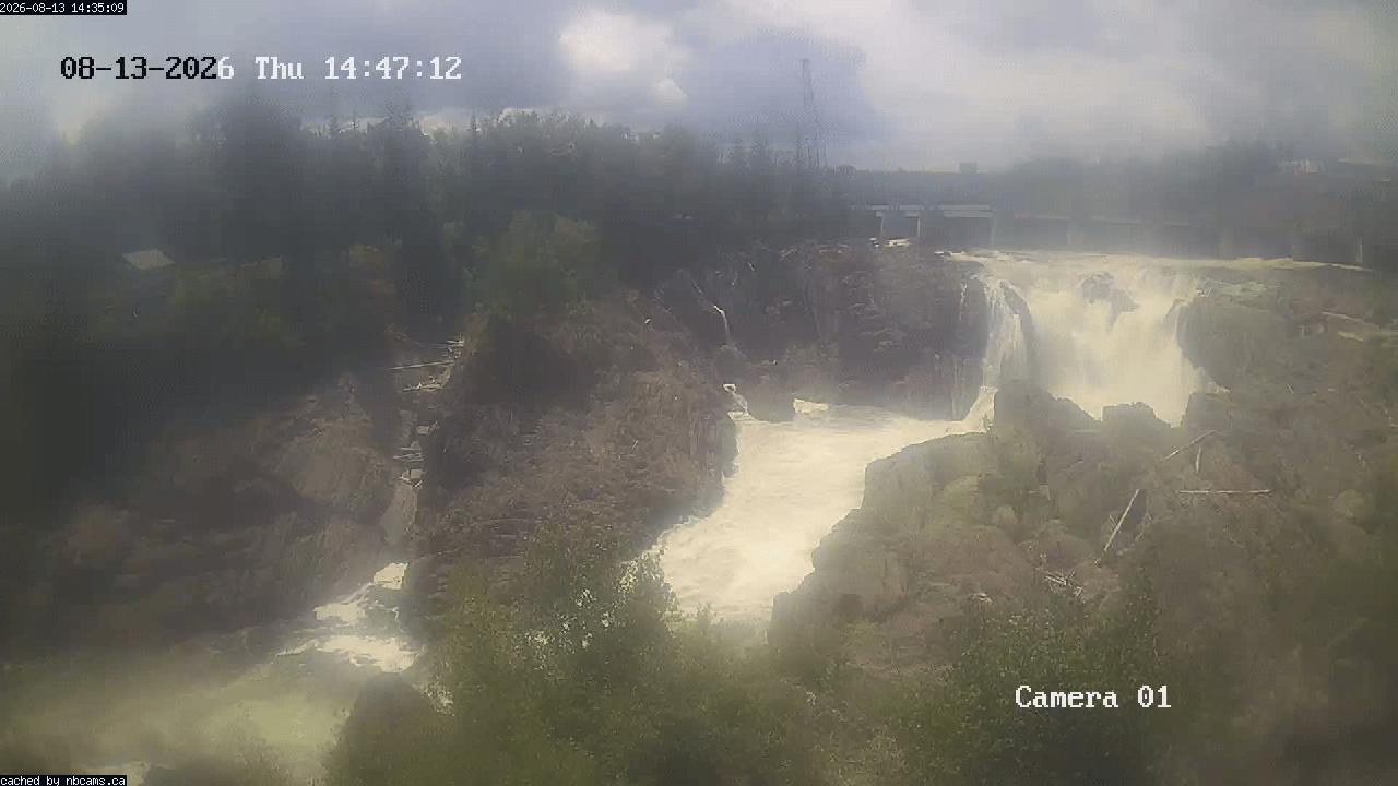 Web Cam image of Grand Falls Gorge