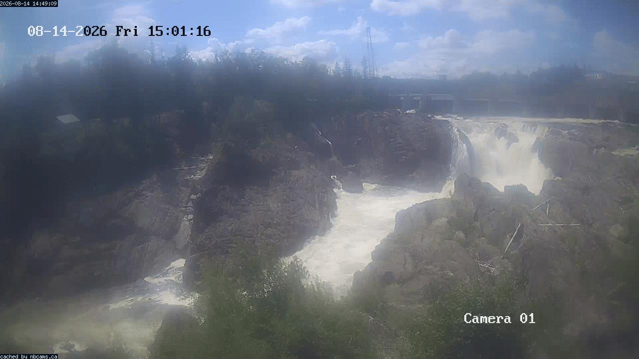 Web Cam image of Grand Falls Gorge